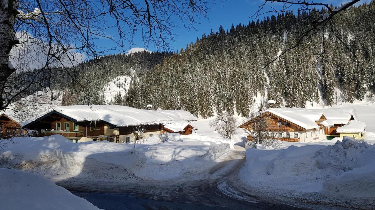 Vila Bauernhof Krahlehenhof Filzmoos Exteriér fotografie