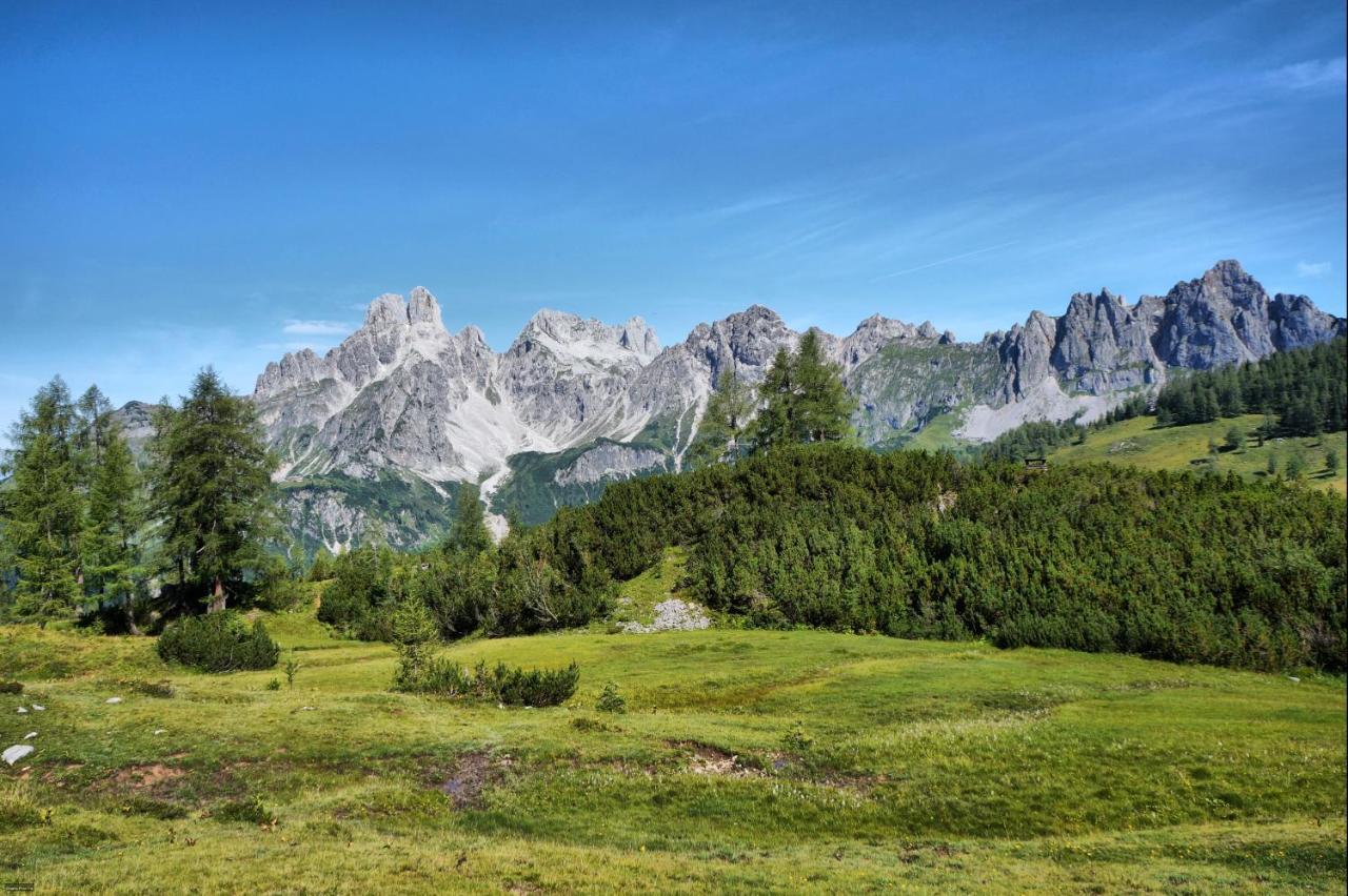Vila Bauernhof Krahlehenhof Filzmoos Exteriér fotografie